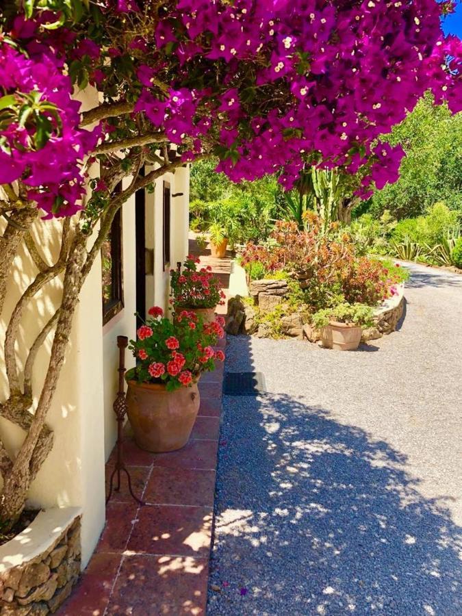 Es Cana Agroturismo Can Talaias San Carlos מראה חיצוני תמונה